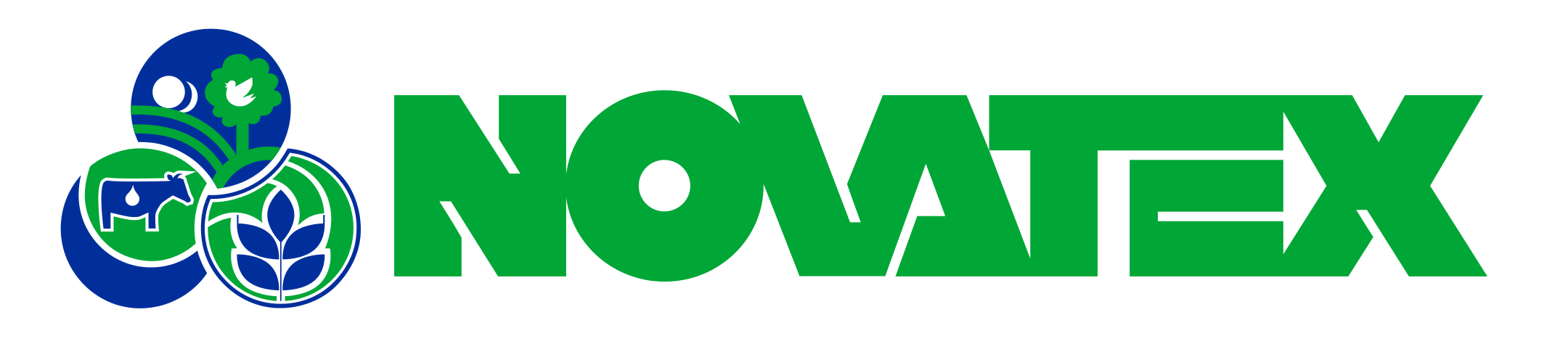 NOVATEX ITALIA SPA